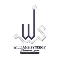 Williams Synergies Inc. logo